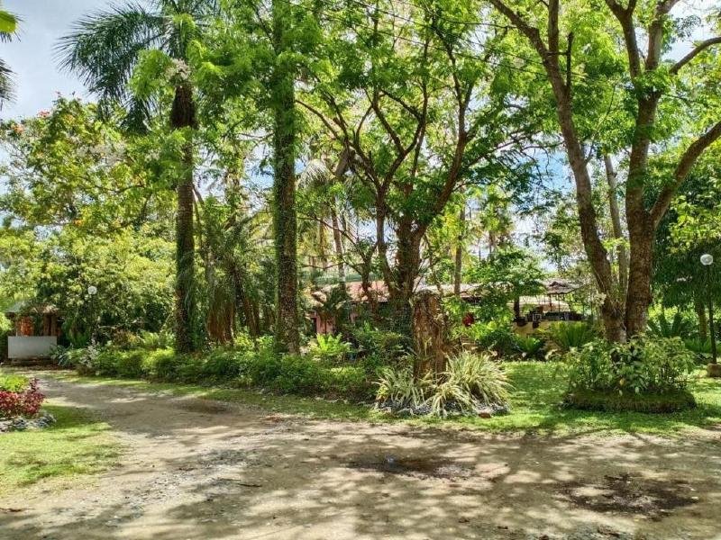 reddoorz plus costa roca balamban