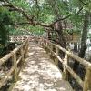 reddoorz plus costa roca balamban