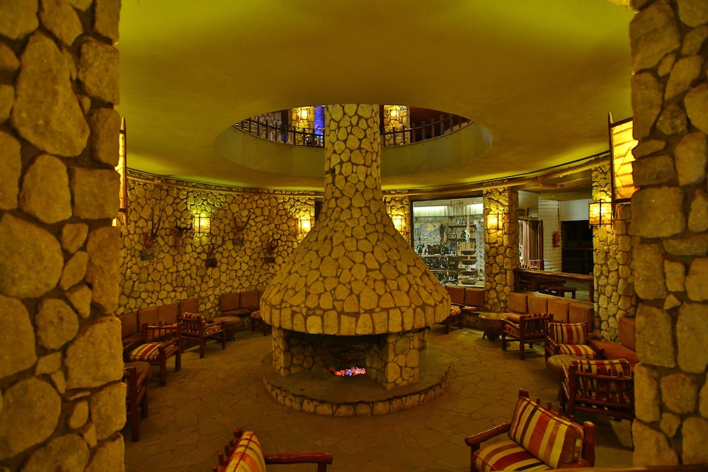 salt lick safari lodge