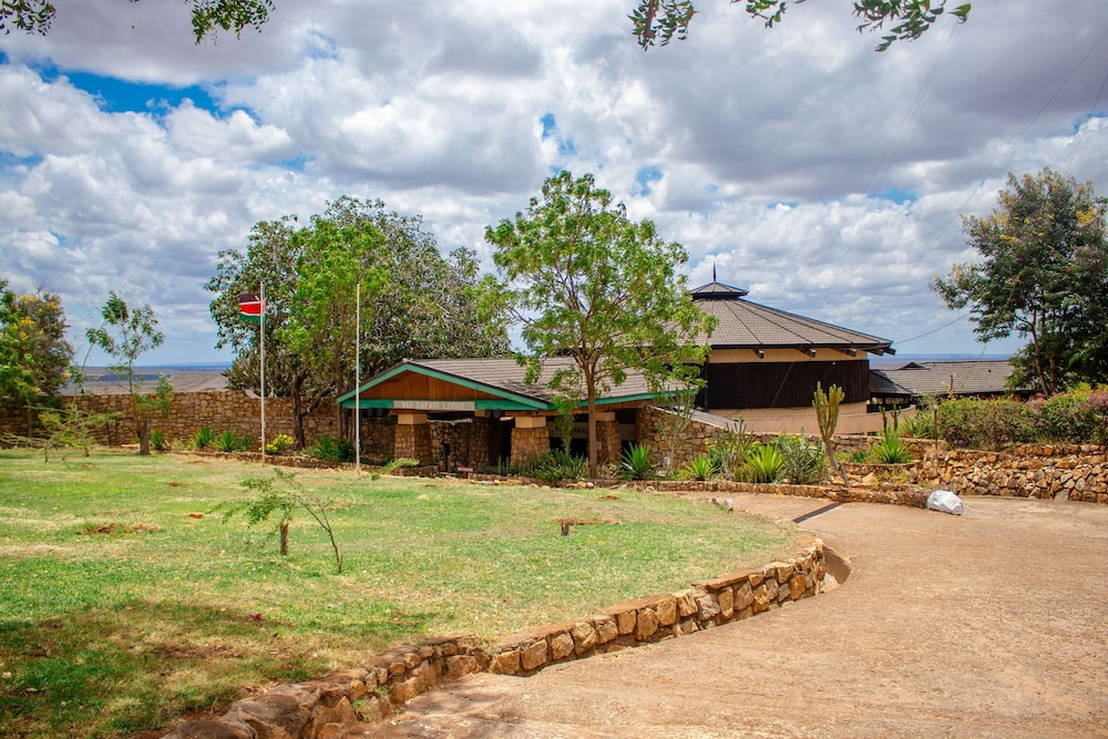 salt lick safari lodge