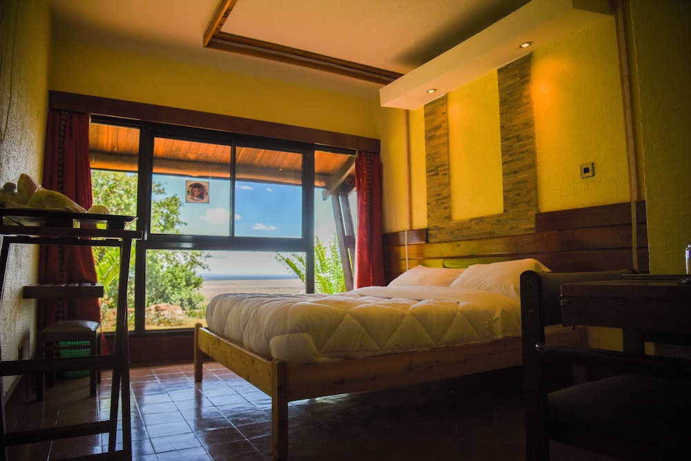 salt lick safari lodge