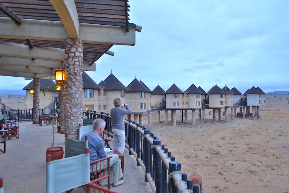salt lick safari lodge