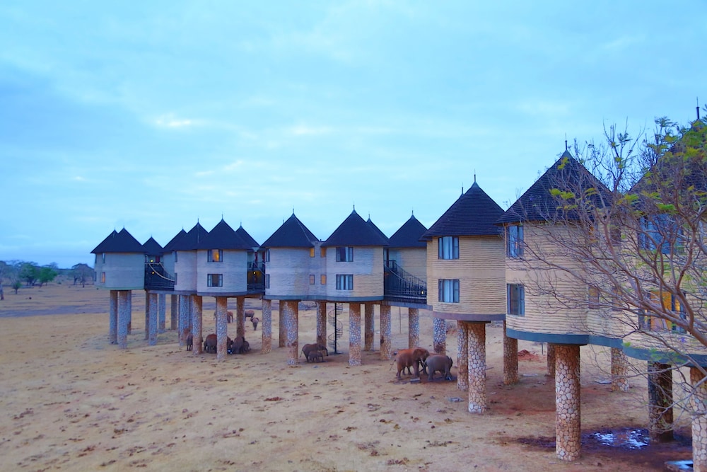 salt lick safari lodge