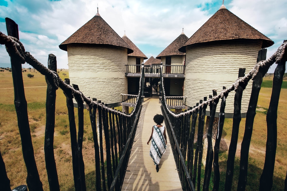 salt lick safari lodge