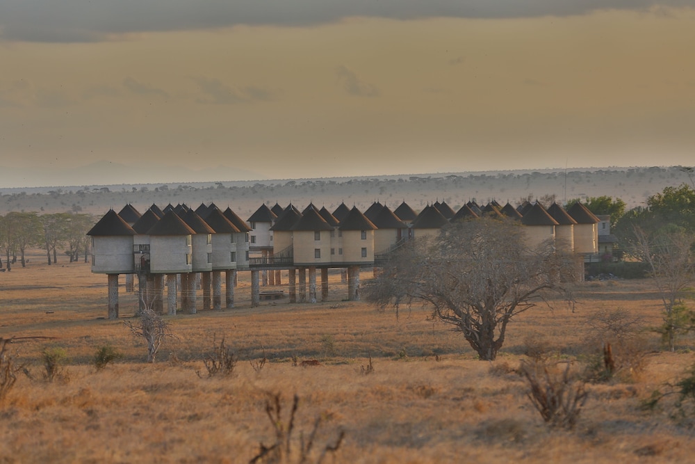 salt lick safari lodge