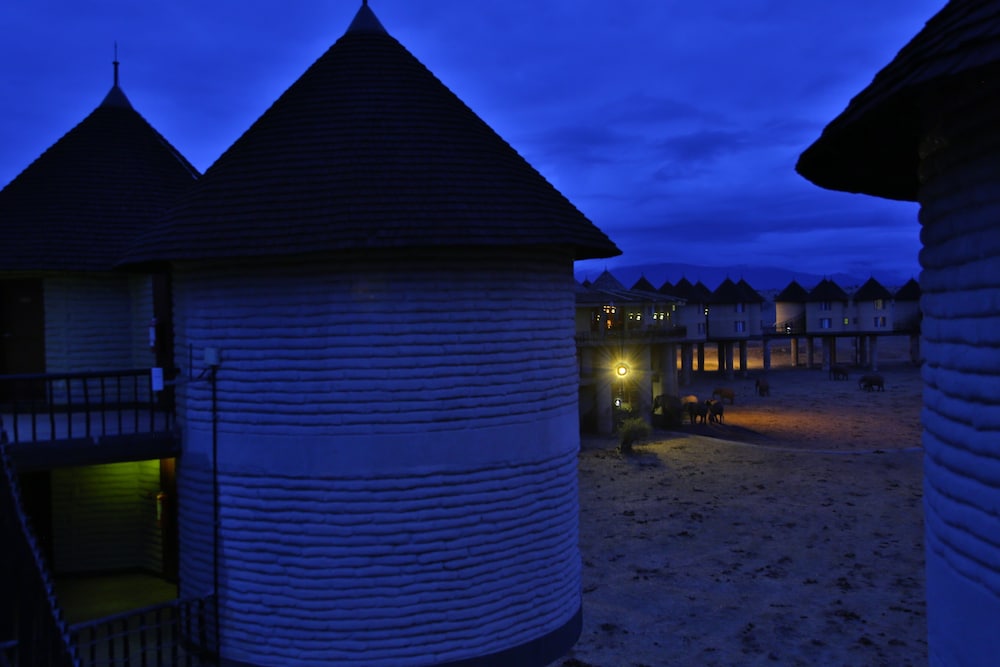 salt lick safari lodge