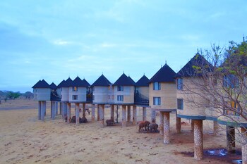 salt lick safari lodge
