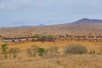 salt lick safari lodge