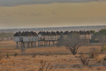 salt lick safari lodge