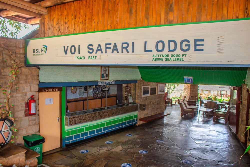 salt lick safari lodge