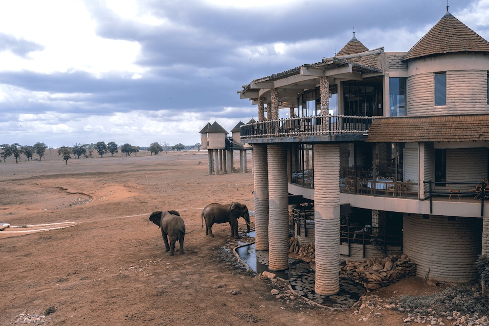 Salt Lick Safari Lodge