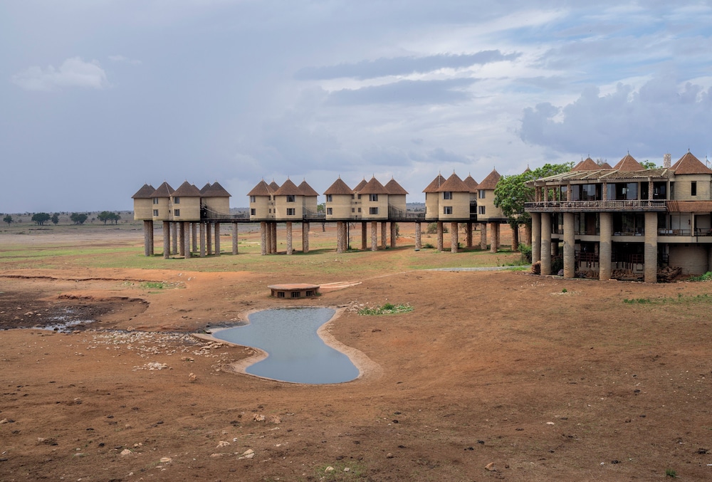 salt lick safari lodge