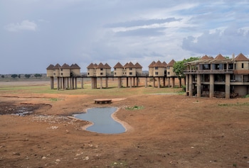 salt lick safari lodge