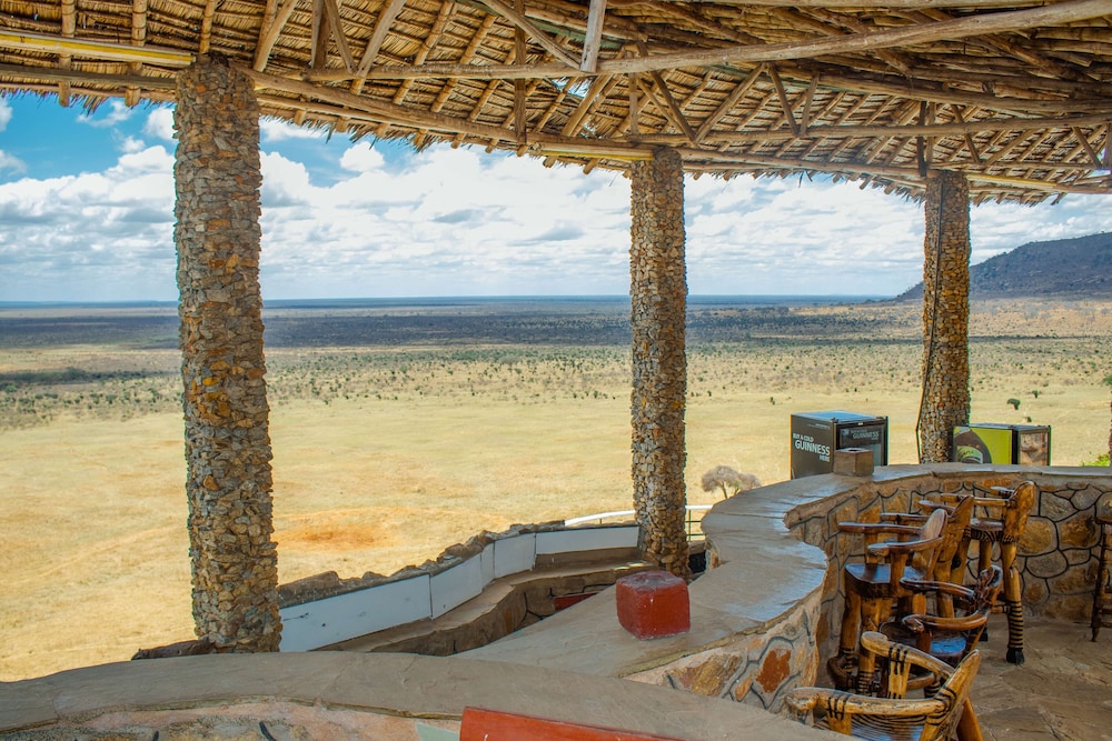 salt lick safari lodge