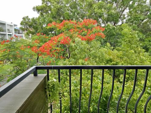 spring light apartment