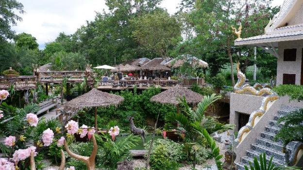 jungle moon homestay