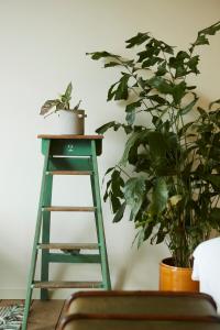 chambre damis by alix