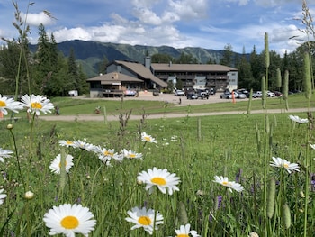 fernie