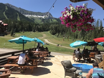 fernie