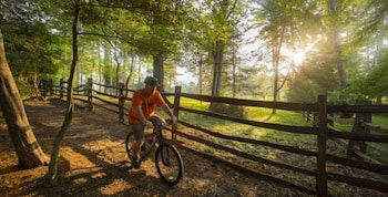 griffin hotel a colonial williamsburg hotel