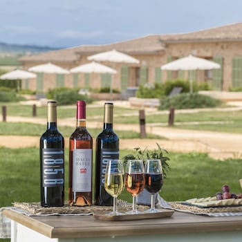 vilafranca de bonany