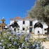 silves