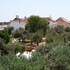 silves
