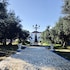 silves