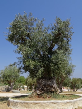 silves