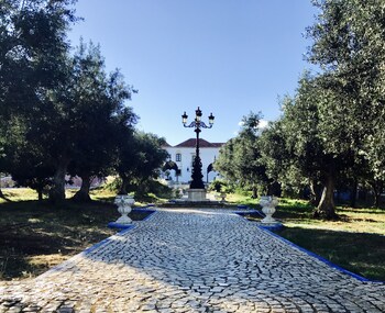 silves