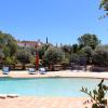 silves