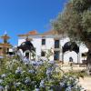 silves