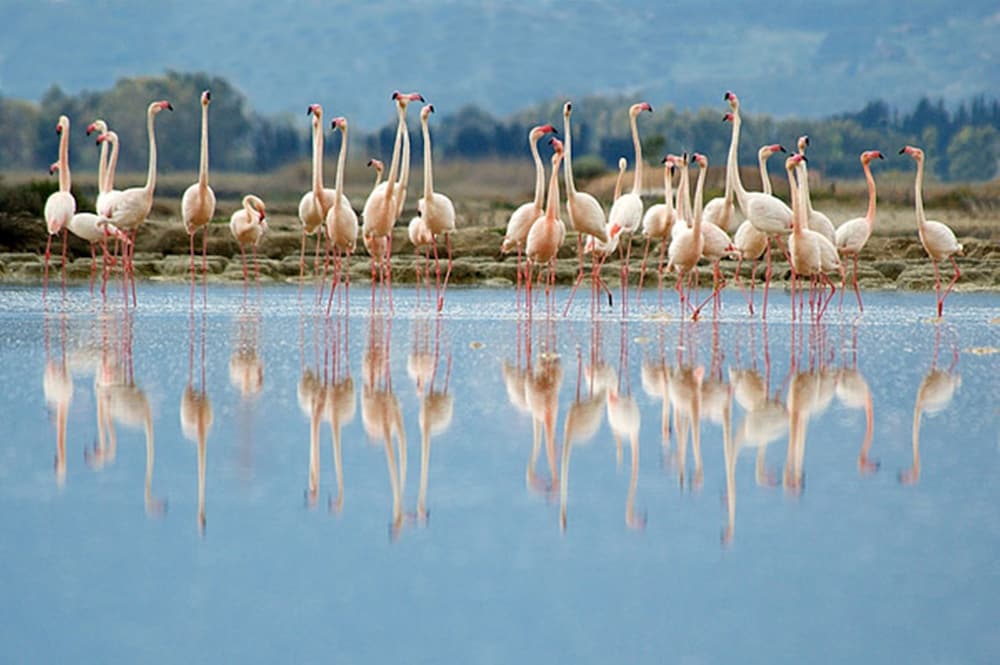 lewis bandb poetto beach
