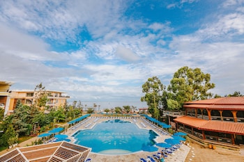 chakvi
