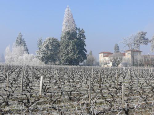 chateau de grandmont chambres dhotes
