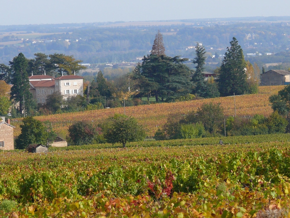 chateau de grandmont chambres dhotes