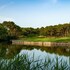 70 hectares et locean