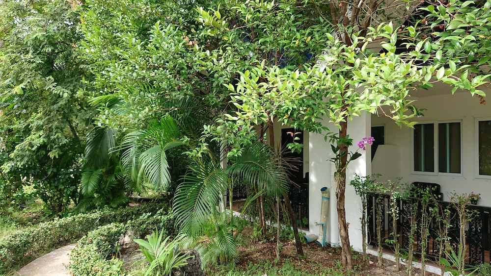 the krabi forest homestay