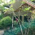 the krabi forest homestay