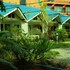 the krabi forest homestay