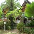 the krabi forest homestay