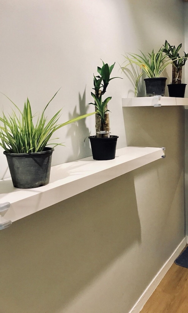 kinnon deluxe hostel coworking cafe