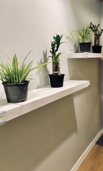 kinnon deluxe hostel coworking cafe