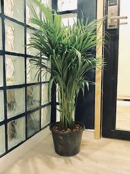 kinnon deluxe hostel coworking cafe