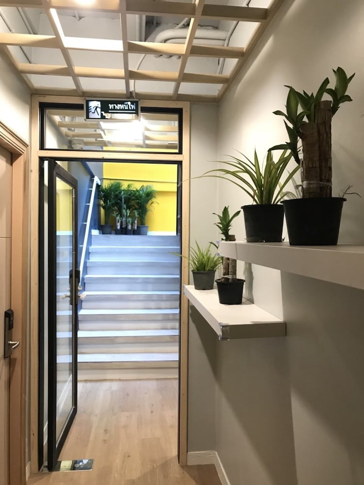 kinnon deluxe hostel coworking cafe