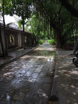 hoa lu