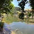 tam coc westlake homestay hostel