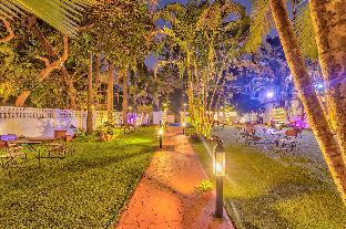 the boho vagator beach goa near thalassa