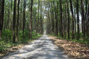 riverview jayanti