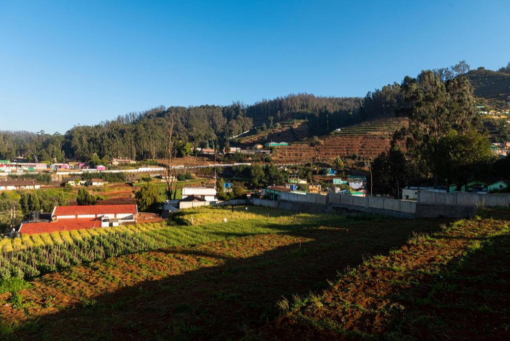 magnolia bed and breakfast